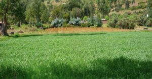 antes de comprar un terreno